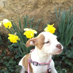 Meet your Posher, Anna